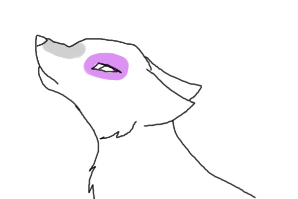 Random Wolf