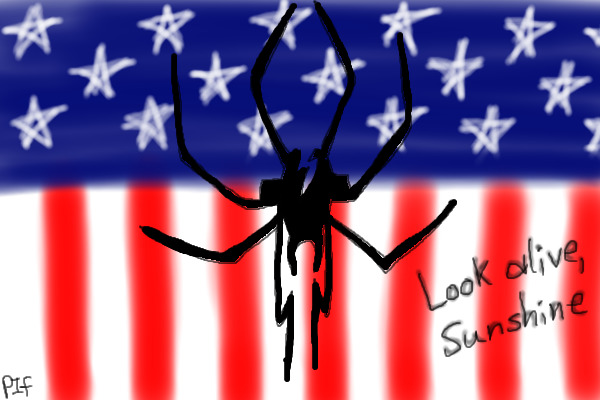 American Widow Spider