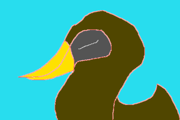 ducky in a pond