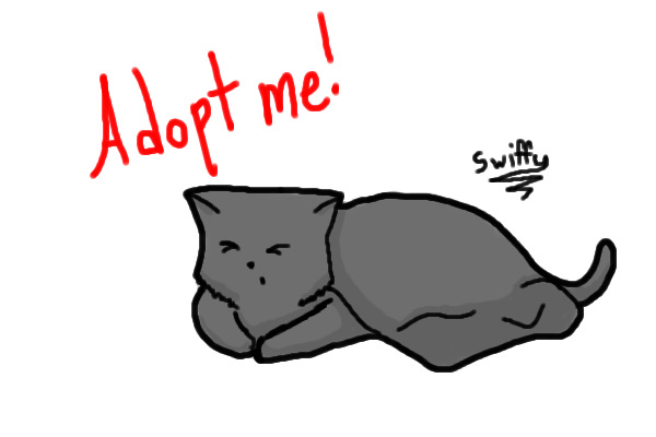 Adopt a Cuddly Kitten! (Closed)