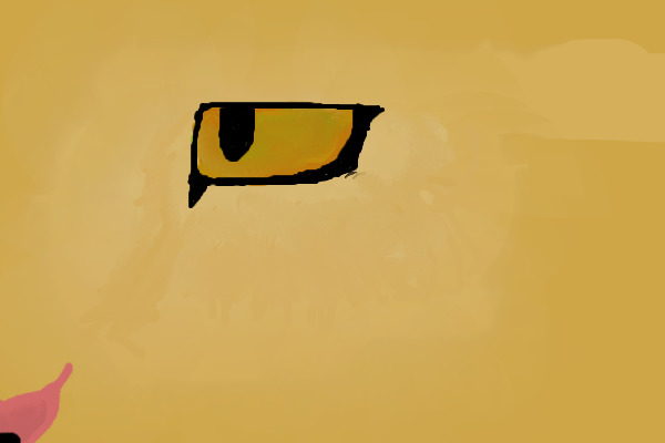 A lions eye