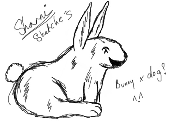 Bunny bunny xD