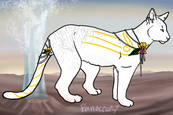 sava- leader's mate of the cava clan