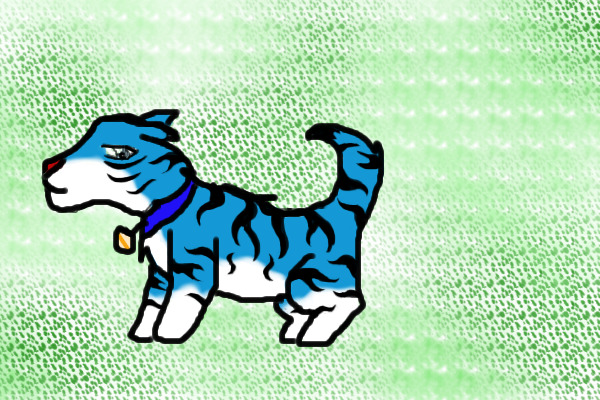 Mudgie the Tiger Dog