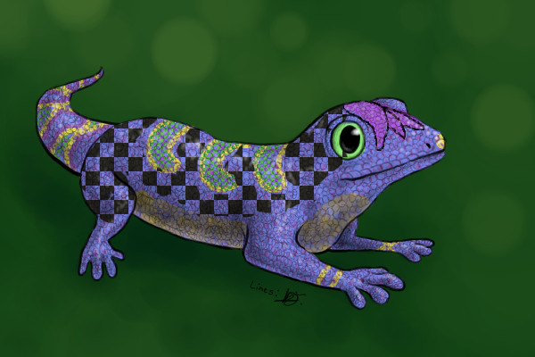 Mosaic Gecko