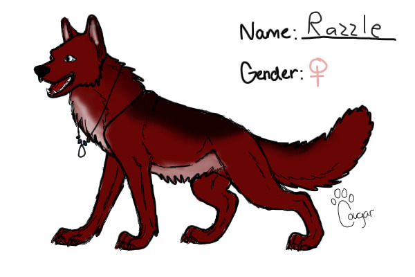 Possible Re-make of Razzle