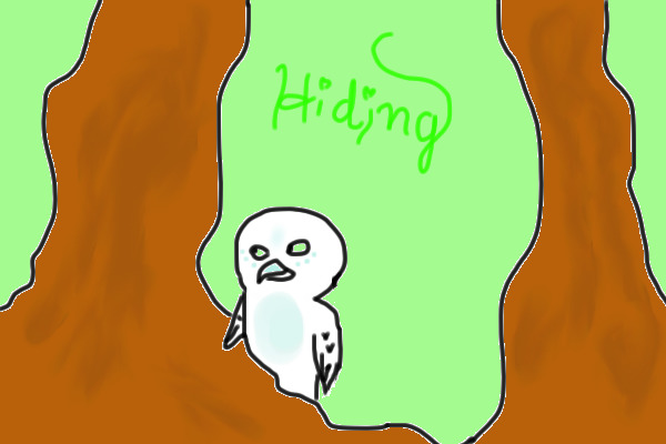 Hiding