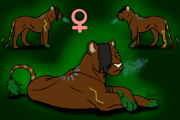 my lion entry