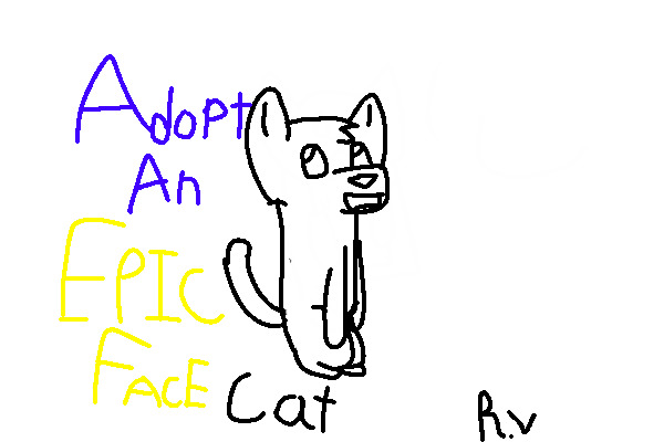 Adopt an EPIC FACE Cat :D