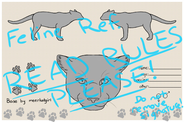 Big Cat Ref. Sheet