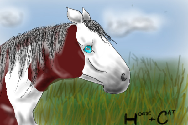 Colored in horse!