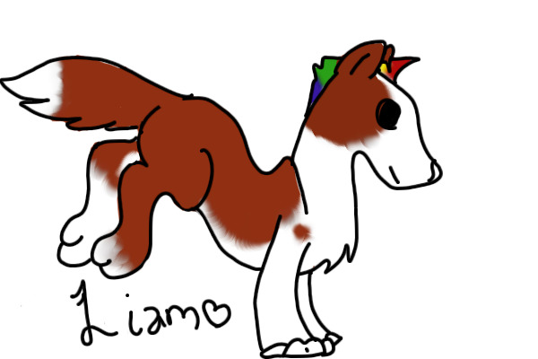 Liam
