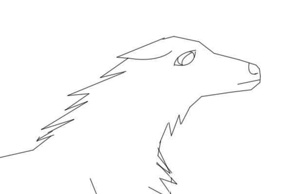 wolf