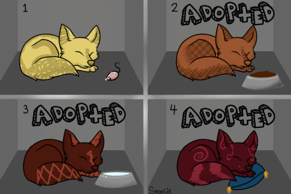 Adopt a fox