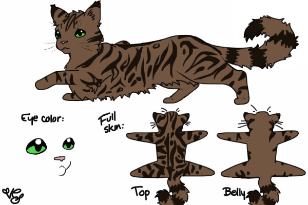Toadpaw