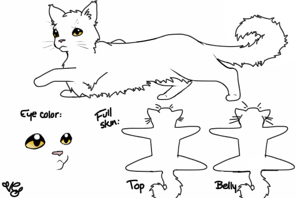 Snowkit