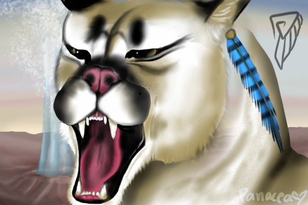 Entry X3