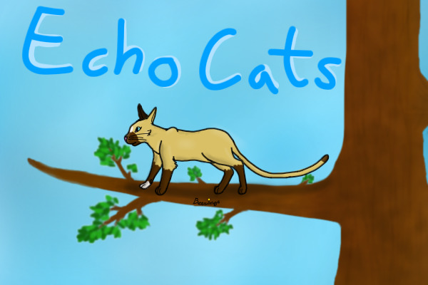 Echo cats