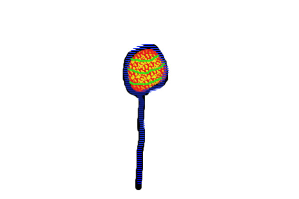 lollipop contest
