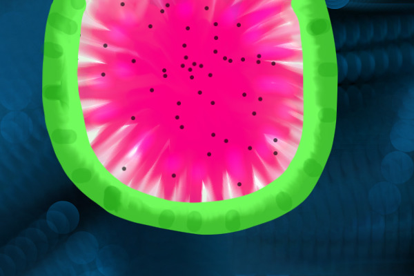 A weird watermelon-type-thing on a weirder background