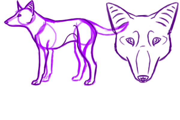 Lining WIP