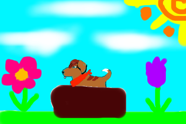 for contest