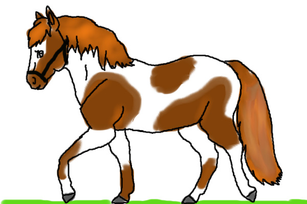 pony
