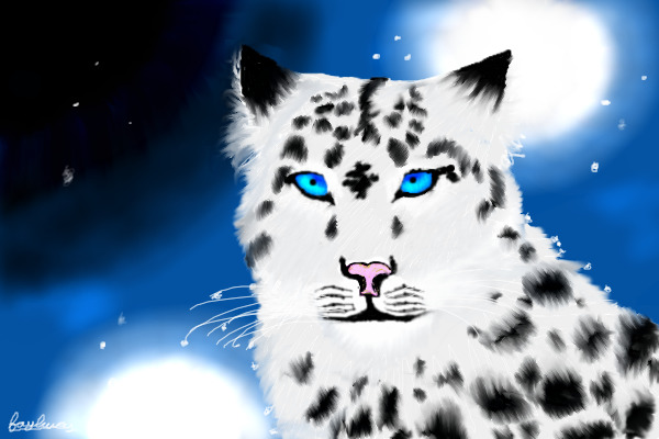 Snow leopard, in the snow! (please move to intermediate :D)