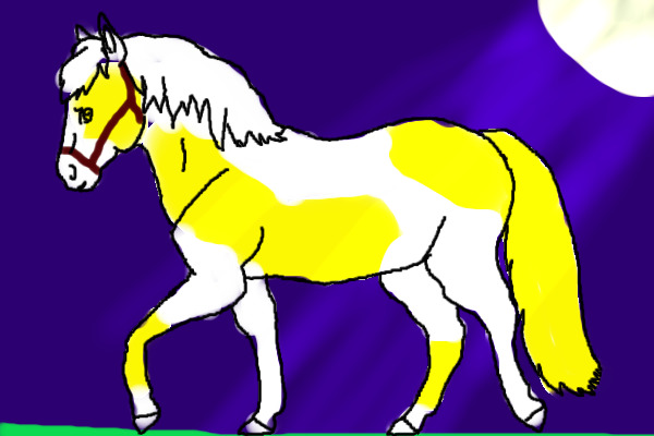 Misty the Little palomino pony