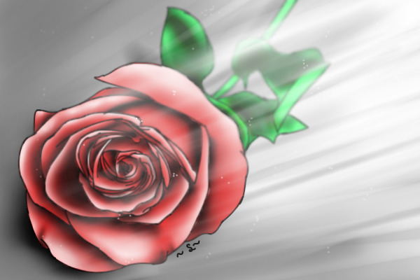 Red Rose for Shadow_Paw's