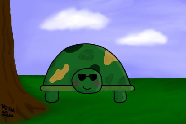 Army Turtle