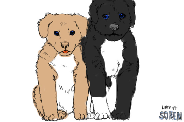 pups