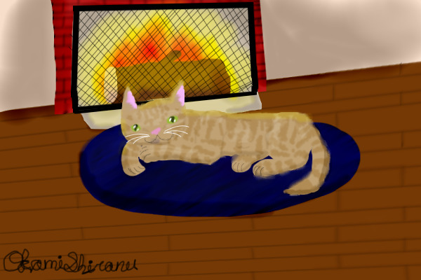 cat in front of fireplace