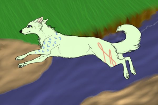 My entry