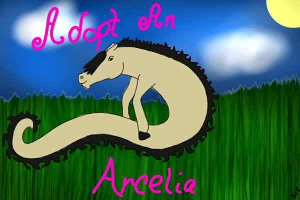 Adopt An Arcelia