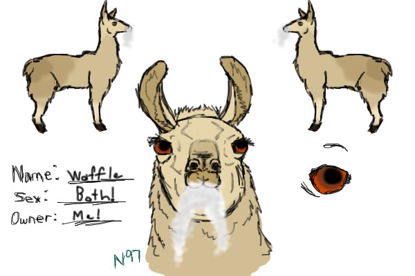 Waffle - Leader's Mate - Power of the Rabid Llama Herd