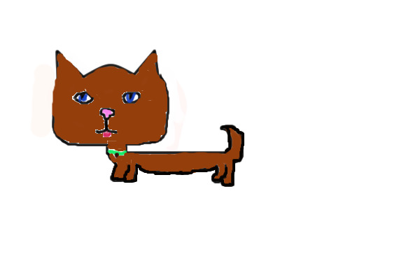 Adopt a cat!