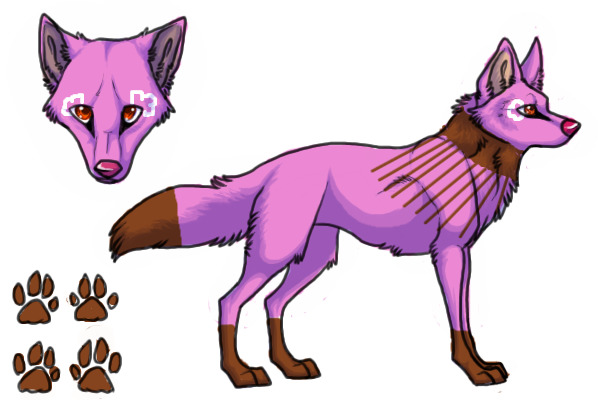 Wolf for your competition