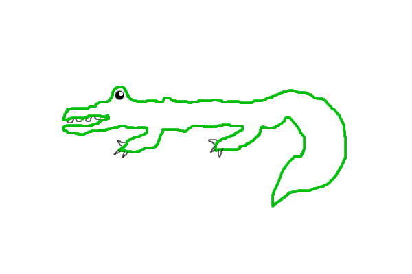 Adopt an alligator!