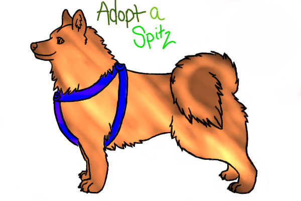Adopt A spitz