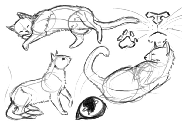 Kitty Cats