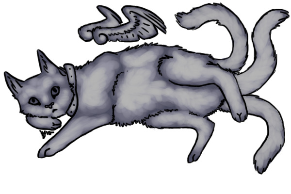 Kitty Editable