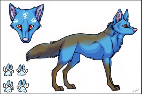 Wolf for your competition