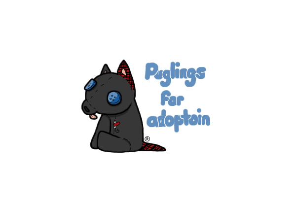 Puglings for adoption!