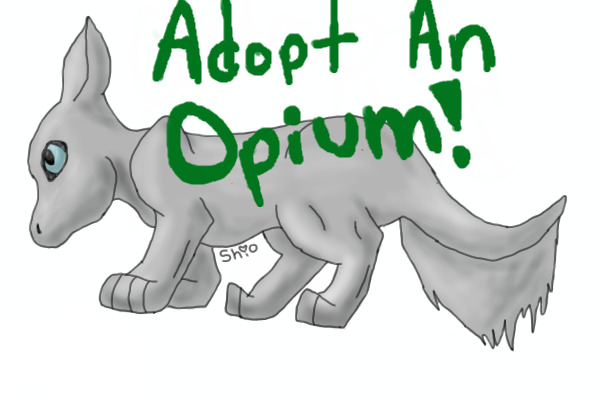Adopt An Opium!!