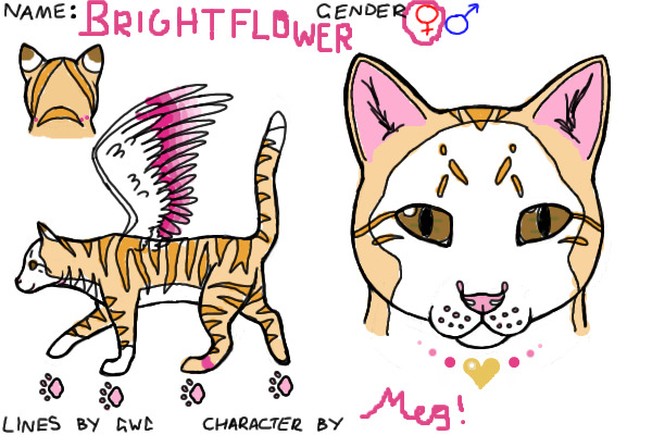 My Fursona Brightflower in cat form =)
