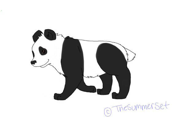 Baby panda :D!