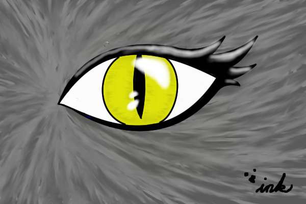 Yellow cats eye