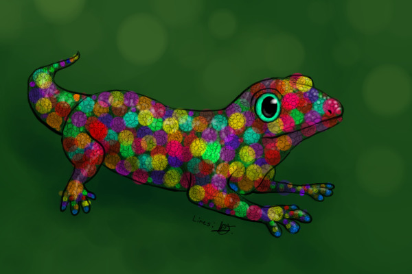 A Rainbow Gecko!!