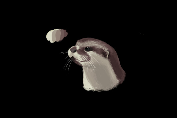Otter head